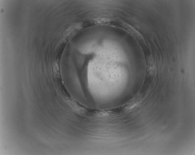 X0000075830523200609221643