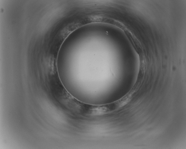 X0000075830525200609221643