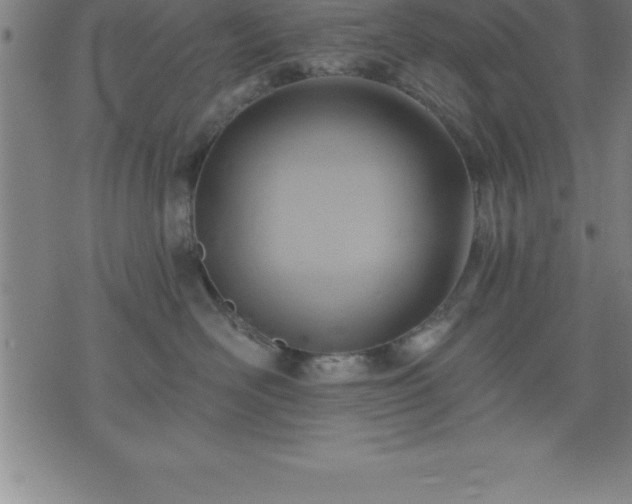 X0000075830526200609221643