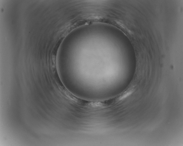 X0000075830528200609221643