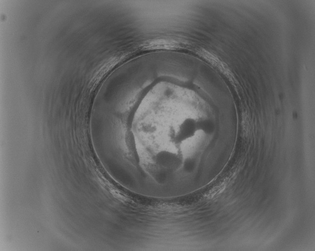 X0000075830529200609221642