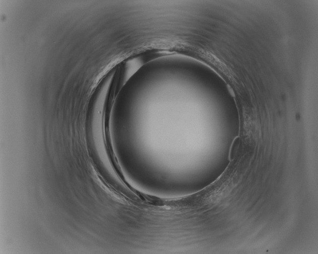 X0000075830530200609221642