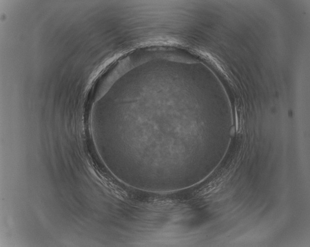 X0000075830531200609221642