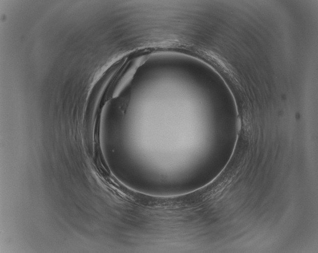 X0000075830532200609221642