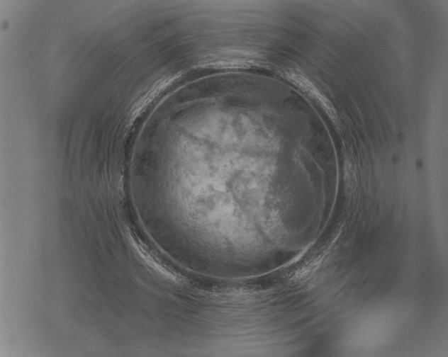 X0000075830533200609221642