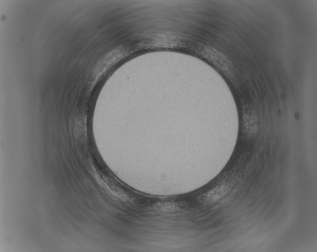 X0000075830534200609221642