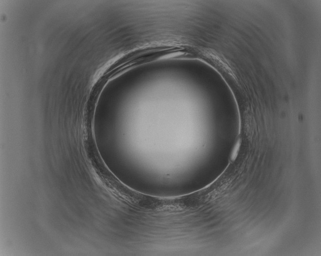 X0000075830536200609221642