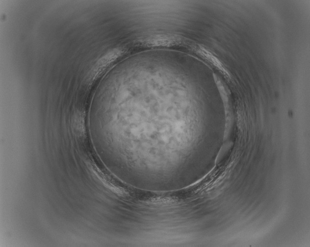 X0000075830537200609221642