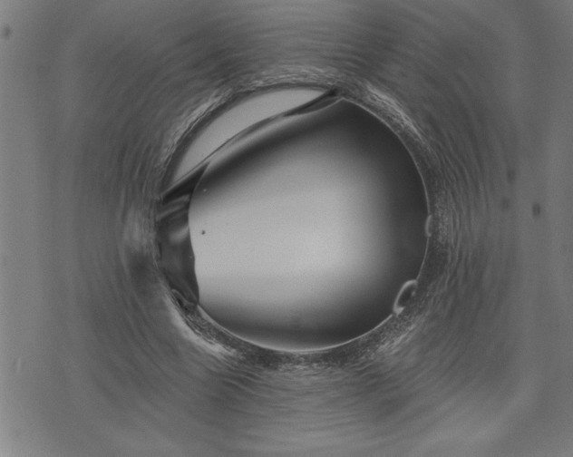 X0000075830538200609221642