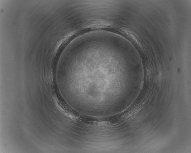 X0000075830539200609221642