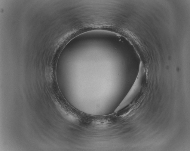 X0000075830540200609221642