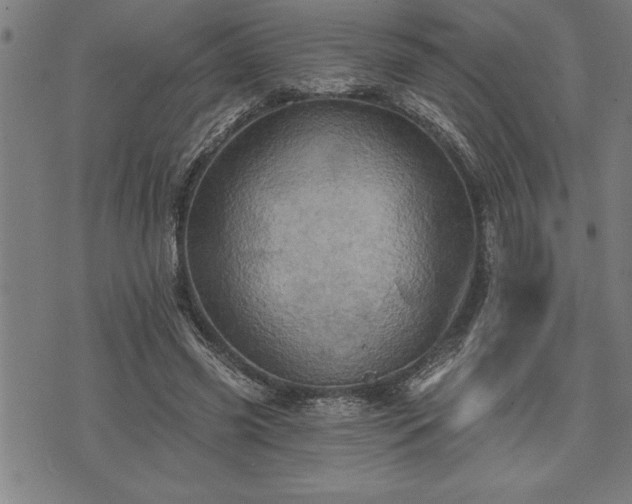 X0000075830541200609221642