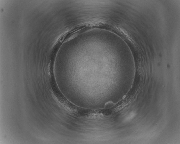 X0000075830543200609221642