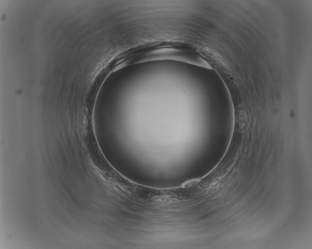 X0000075830544200609221642