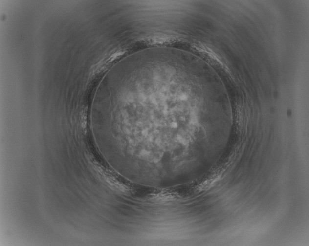 X0000075830545200609221642