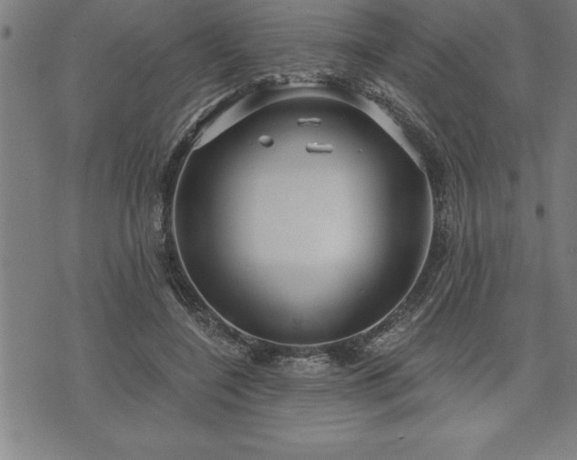 X0000075830548200609221642