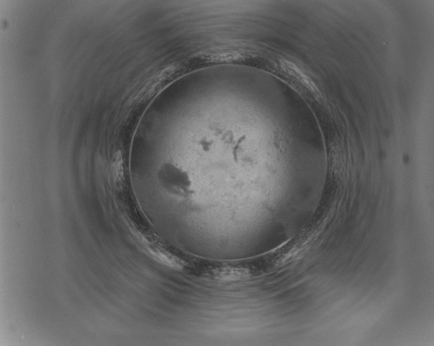 X0000075830549200609221642