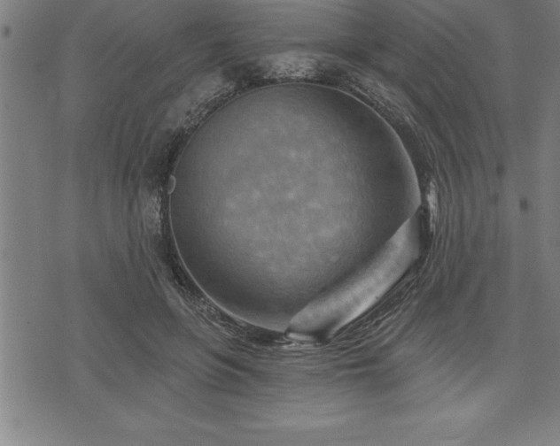 X0000075830551200609221642