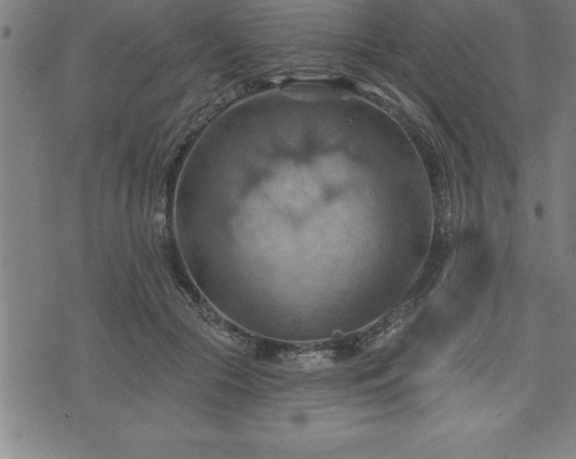 X0000075830553200609221642