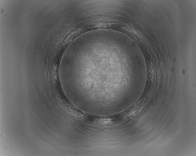 X0000075830554200609221642