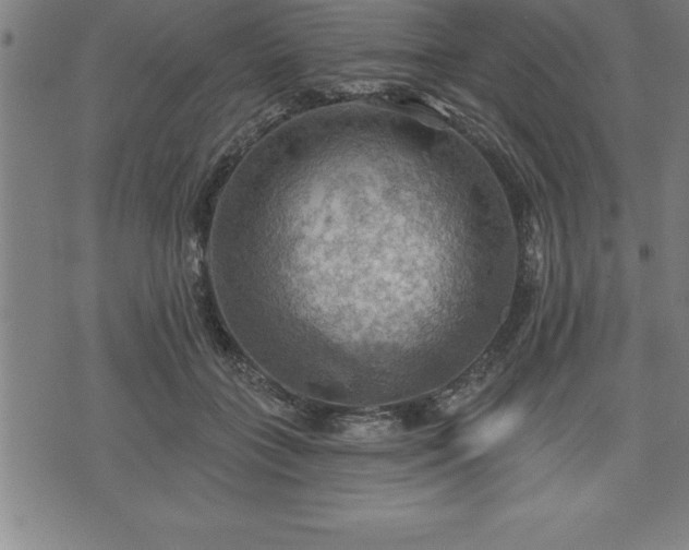 X0000075830555200609221642