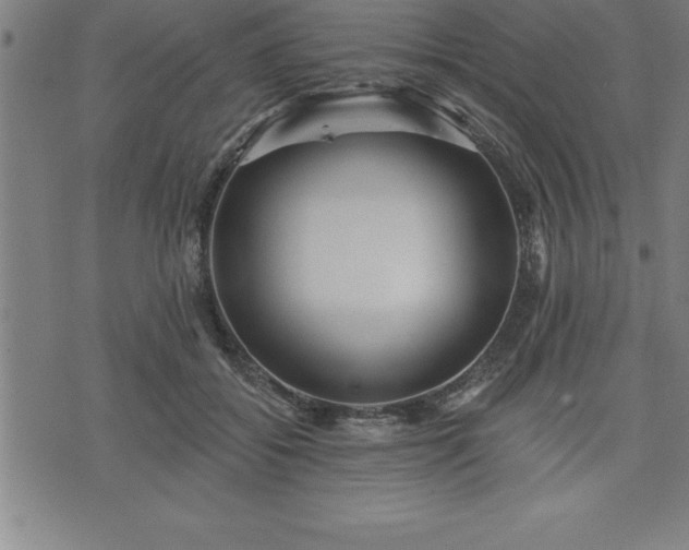 X0000075830556200609221642