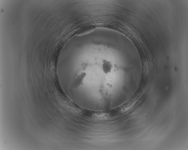 X0000075830557200609221643