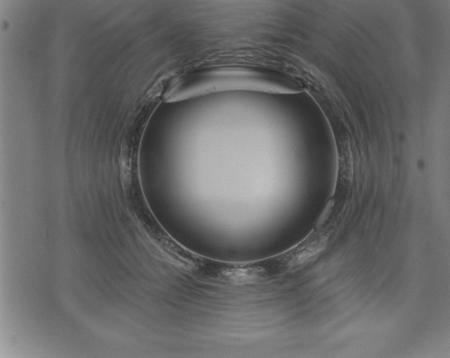 X0000075830558200609221643