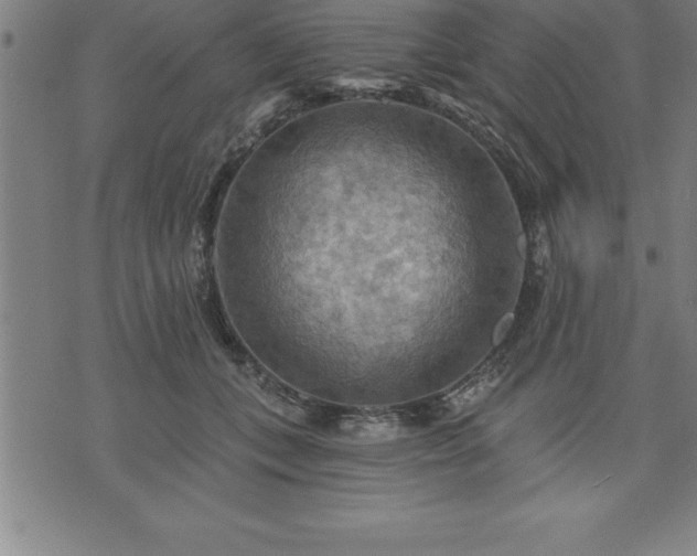 X0000075830559200609221643