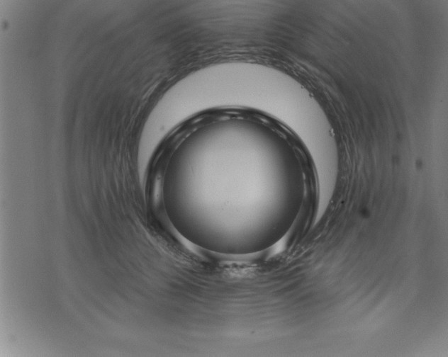 X0000075830560200609221643