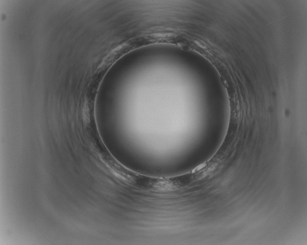 X0000075830562200609221643