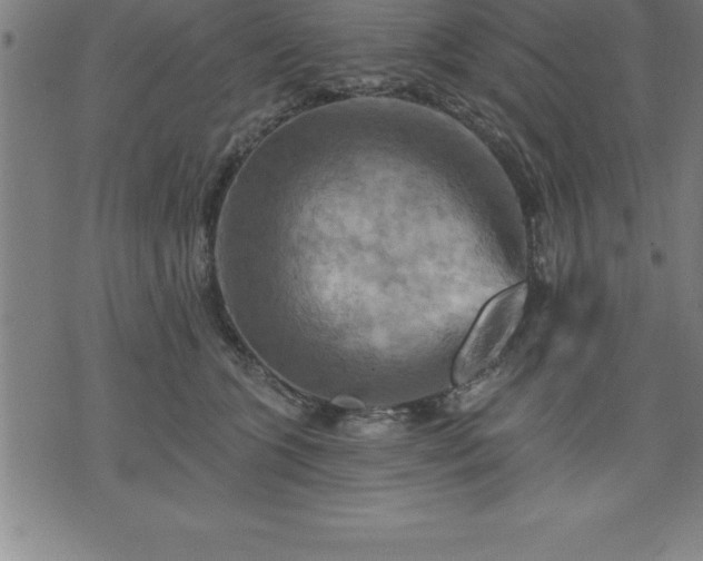 X0000075830563200609221643