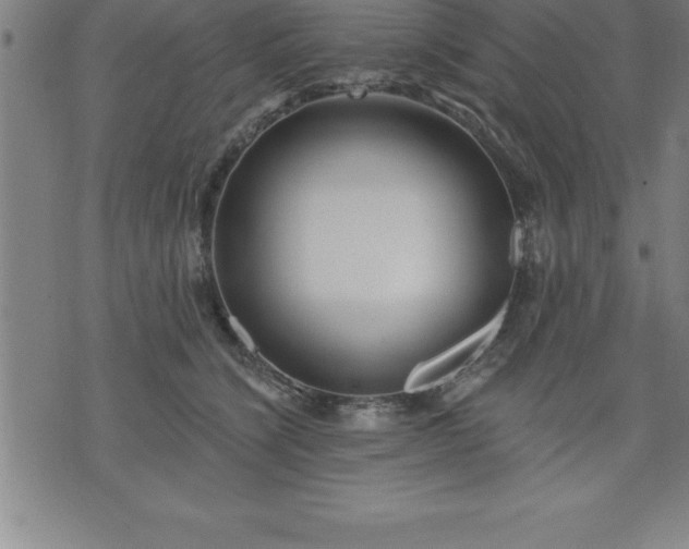 X0000075830564200609221643