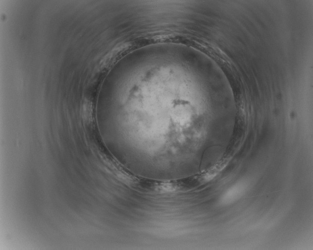 X0000075830565200609221643