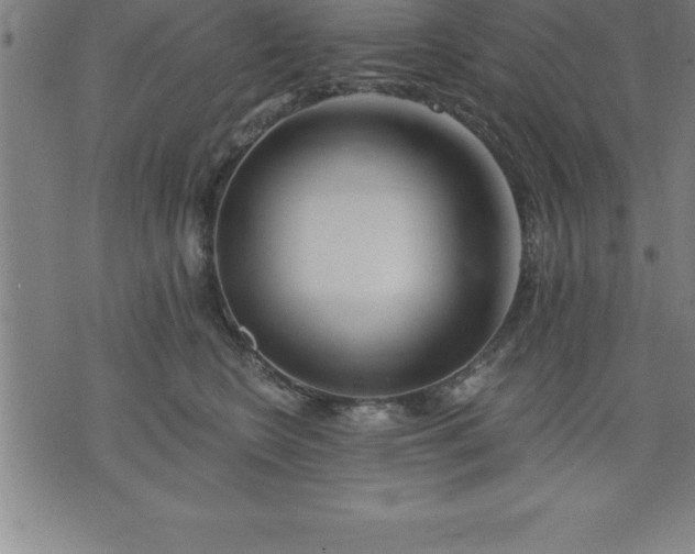 X0000075830566200609221643