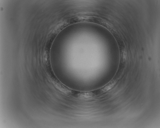 X0000075830567200609221643