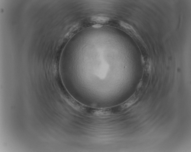 X0000075830568200609221643