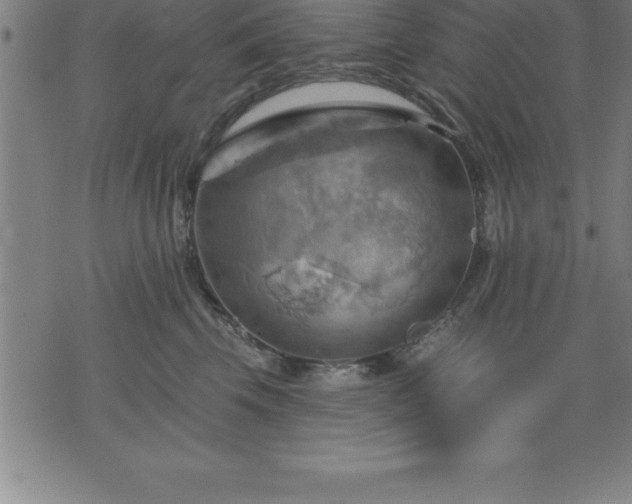 X0000075830569200609221643