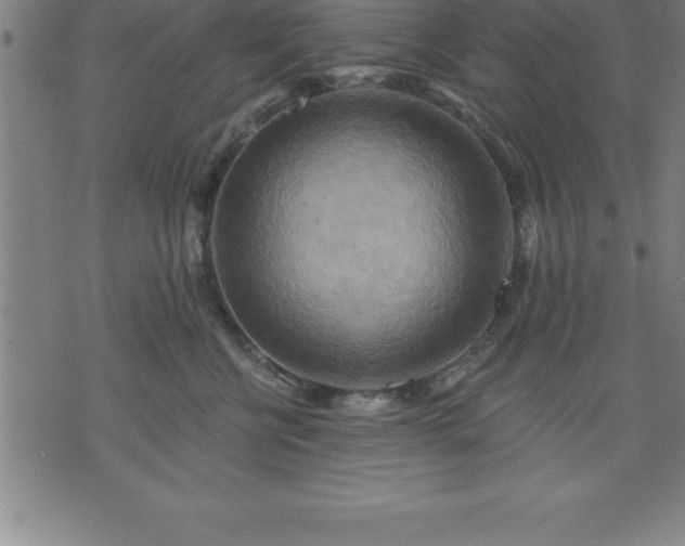 X0000075830570200609221643