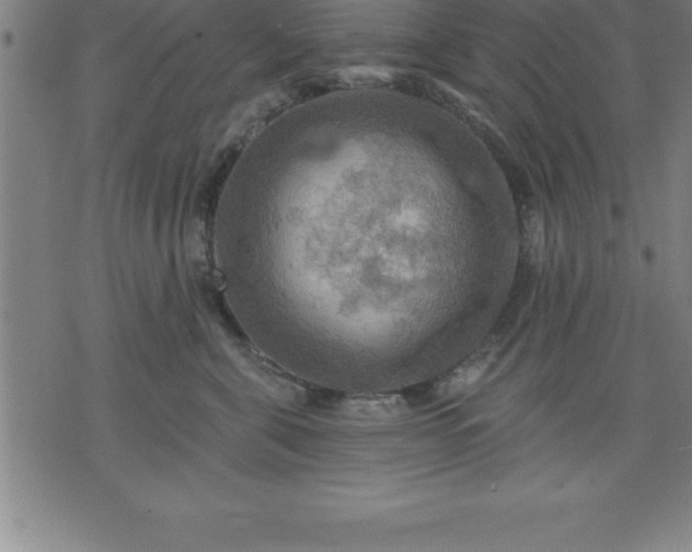 X0000075830571200609221643