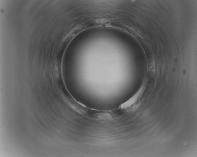 X0000075830572200609221643