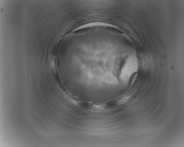 X0000075830573200609221643