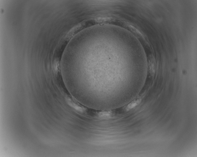 X0000075830574200609221643