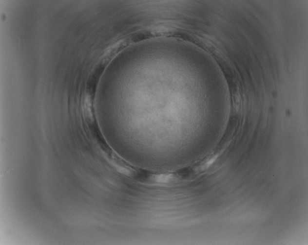 X0000075830575200609221643