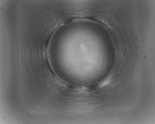 X0000075830576200609221643