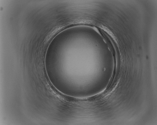 X0000075830577200609221642