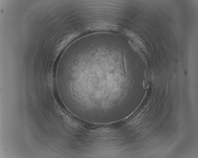 X0000075830578200609221642