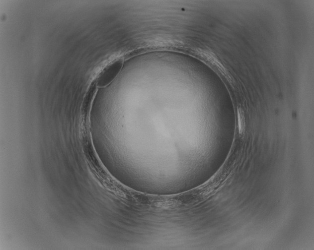 X0000075830579200609221642