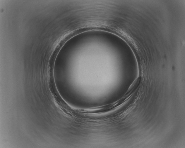 X0000075830580200609221642