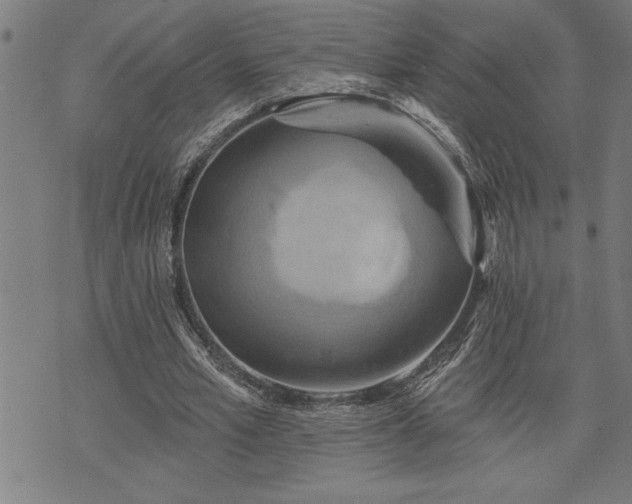 X0000075830581200609221642